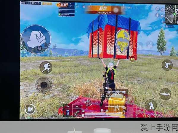和平精英掉帧困扰?专业攻略助你流畅吃鸡!