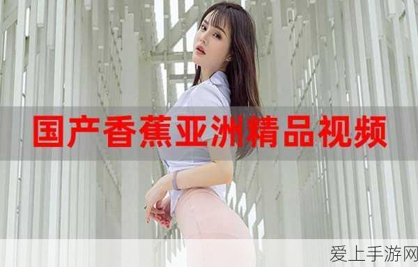 纸嫁衣4机巧阁深度解析，高难度解密挑战，智慧与勇气的双重试炼