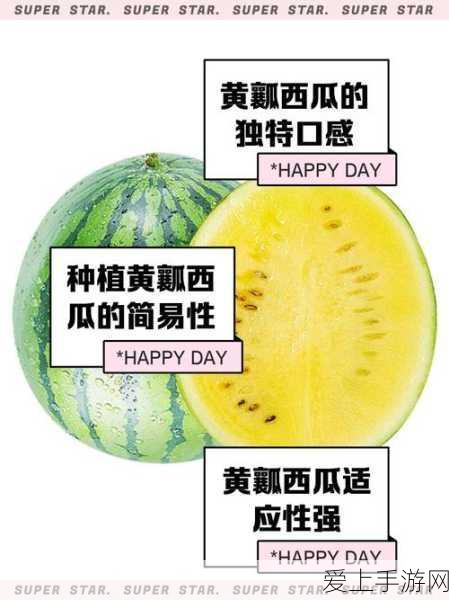 51每日必吃大瓜top10每日更新:每日必看十大热门新闻更新!🍉