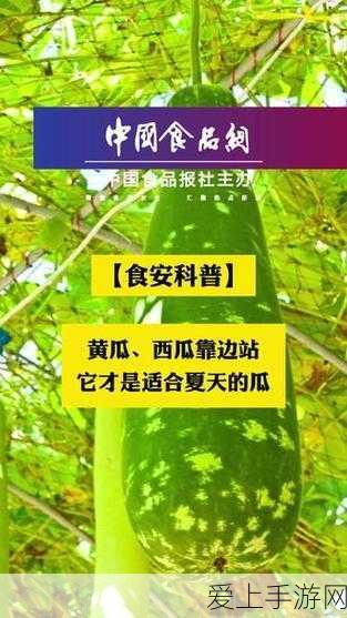 51每日必吃大瓜top10每日更新:每日必看十大热门新闻更新!🍉