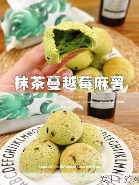 幻塔美食秘籍,解锁蘑菇鱼片制作全攻略,食材收集与食谱配方大公开