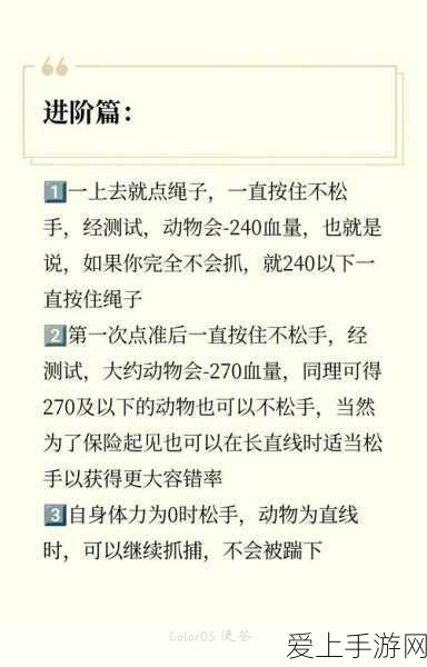 宝可梦大集结，激战对决与致胜秘籍