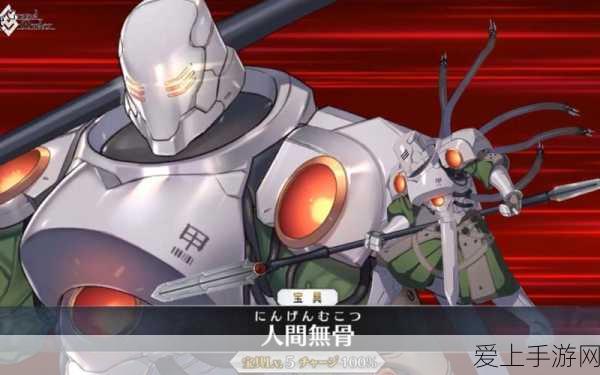 FGO玩家必看!森长可全面强化材料大揭秘
