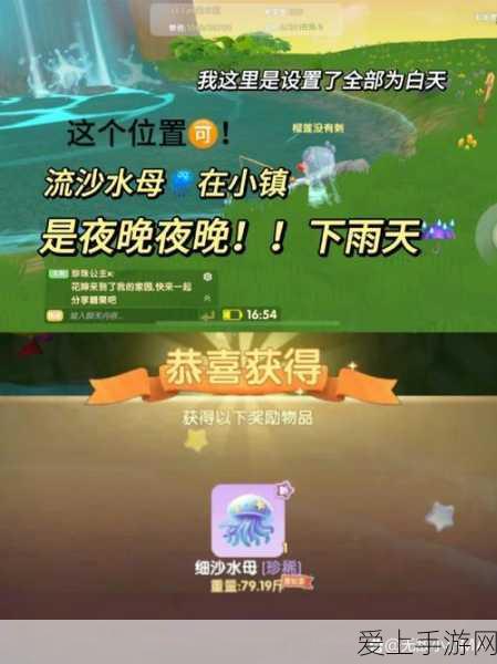 摩尔庄园雪獭垂钓全攻略,揭秘最佳钓点与出现时间