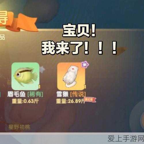 摩尔庄园雪獭垂钓全攻略,揭秘最佳钓点与出现时间