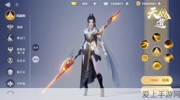 梦幻新诛仙深度揭秘,天道府全解析与竞技策略