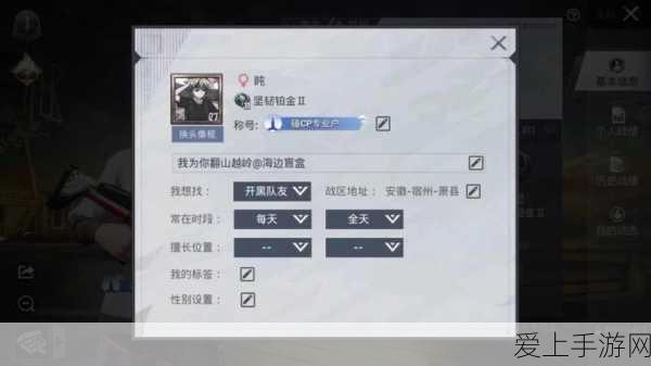 和平精英2024年ID修改全攻略,轻松更名,驰骋战场新风尚