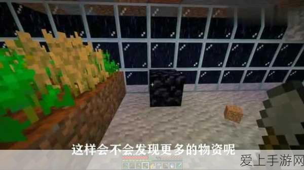 我的世界狼繁殖秘籍，打造你的狼群帝国