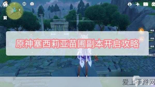 原神深度攻略,揭秘塞西莉亚苗圃副本高效解锁技巧