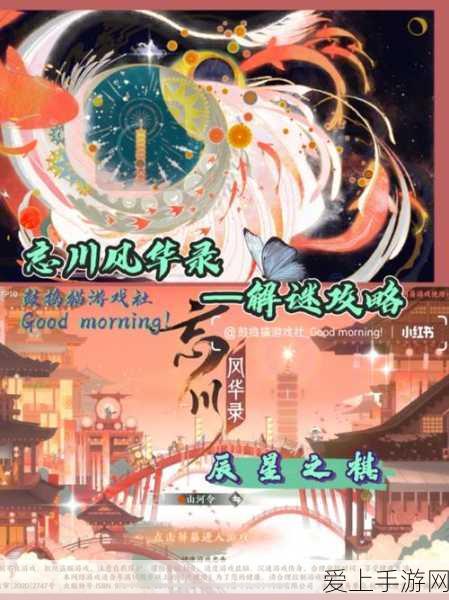 忘川风华录寻喵记,全面解密趣味寻宝流程与攻略