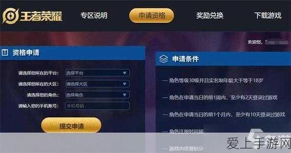 DNF圣耀服务体系全面揭秘，尊享升级，开启游戏新纪元