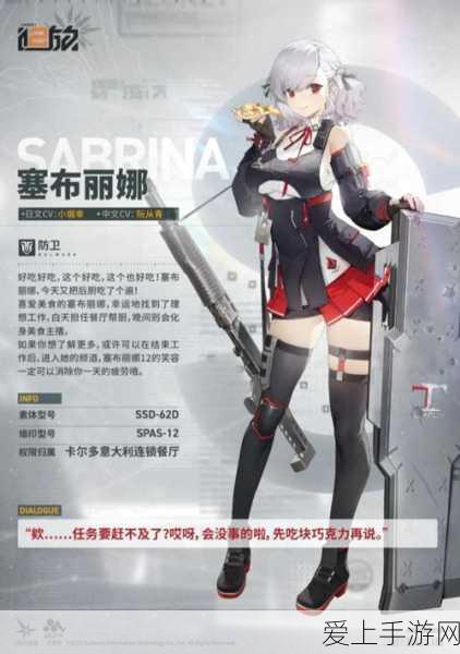 少女前线2,追放天梯竞技阵容搭配深度解析与攻略