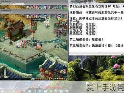 梦幻西游深度攻略,揭秘三生石奇遇任务全解析