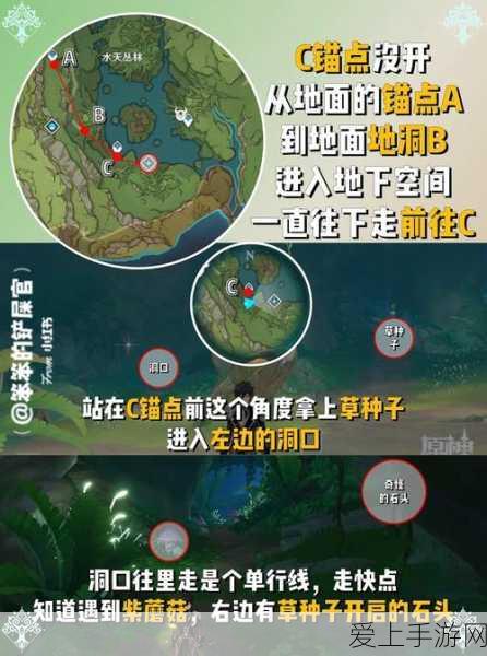 原神镜中王国全攻略,解锁秘境谜题,征服梦幻挑战