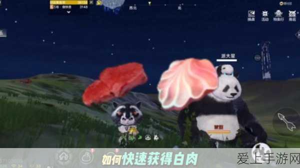 探秘无限暖暖，照片调查动物踪迹任务全攻略