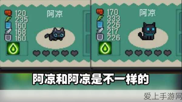 深度解析,元气骑士前传死灵法师终极装备搭配攻略