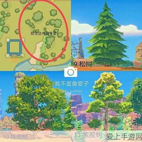 波西亚时光,NPC喜好大揭秘,打造完美人际关系的攻略指南