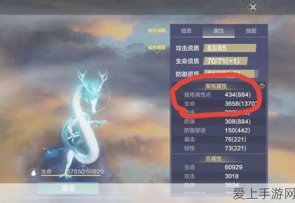 妄想山海宠物快速晋升60级攻略,解锁进化之路
