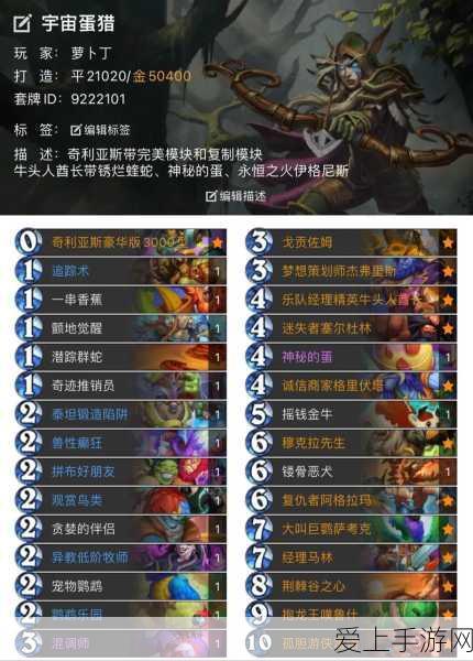 炉石传说,奇迹贼卡组深度解析与实战应用