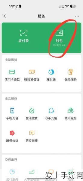 王者荣耀2024娜可露露皮肤盛宴，绝美新装与赛事亮点全揭秘