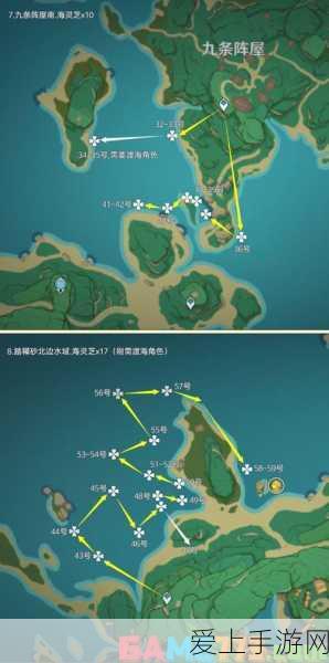 原神玩家必看!海灵芝高效采集攻略,最佳路线与位置分布揭秘