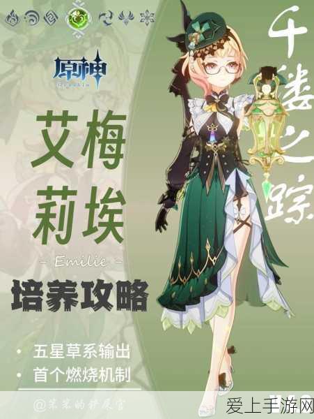 原神新角色艾梅莉埃深度攻略,掌握元素共鸣,征服提瓦特大陆