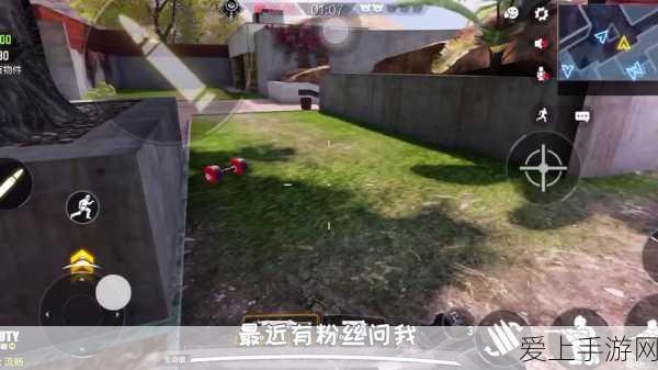 烟雨江湖探秘，鹿踪何处？三处神秘鹿群栖息地全揭秘