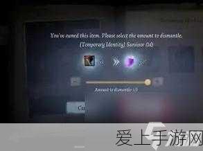 第五人格深度解析,如何高效分解体验卡,提升游戏乐趣?
