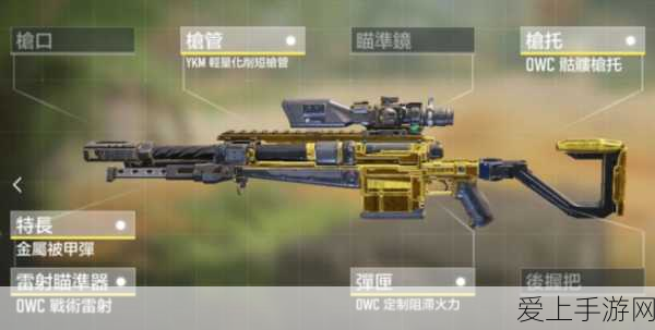 S10赛季使命召唤手游,排位赛制胜枪械全解析