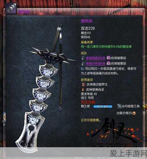 剑与远征,揭秘专属武器获取秘籍,打造无敌战力的关键!