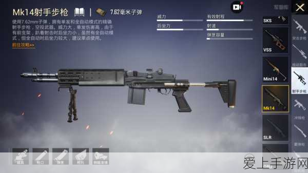 和平精英深度解析,UZI、维克托与AWM三大枪械绝技揭秘