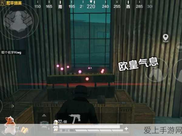 和平精英健康守护,强制下线机制与零点重置全攻略