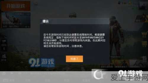 和平精英健康守护,强制下线机制与零点重置全攻略