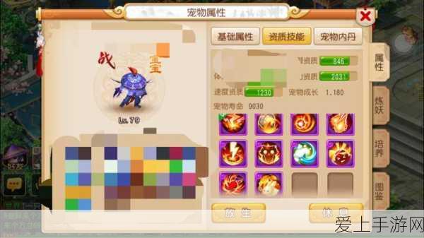 梦幻诛仙手游，揭秘煎蛋鸟珍稀宠物获取全攻略