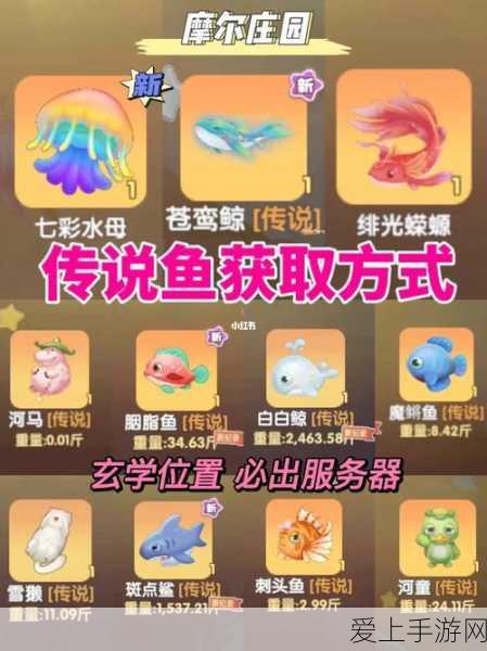 英特尔2025年大动作，至强6SoC将革新手游性能体验