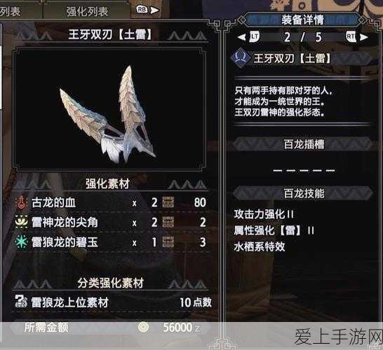 揭秘怪物猎人P3风牙龙解锁秘籍,挑战与荣耀并存
