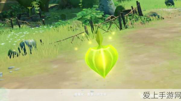 原神草系元素反应全解析,探索绿色魔法的无限可能