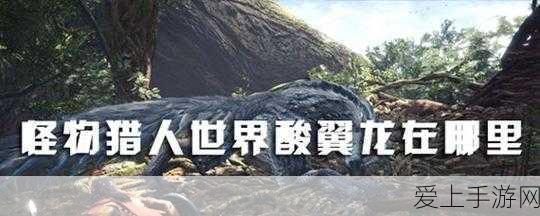 揭秘怪物猎人世界,探寻酸翼龙的神秘踪迹