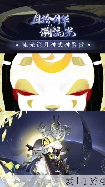 塔瑞斯世界兑换码使用指南，输入位置大揭秘