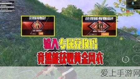和平精英小白龙皮肤保底抽取详解,稀有度与成本揭秘