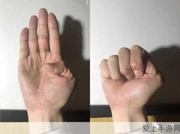 刺杀贼技能加攻击的技能是什么:提升刺杀贼技能与攻击力的最佳训练方法探讨