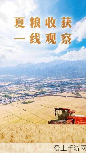 国一线产区和二线视频:深化一线产区发展,拓展二线市场视频宣传新策略