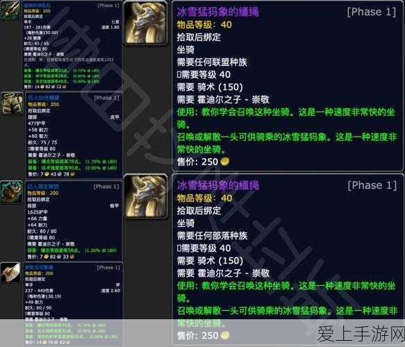 霍迪尔之子战袍哪里买:在哪里能购买拓展霍迪尔之子战袍的相关信息?