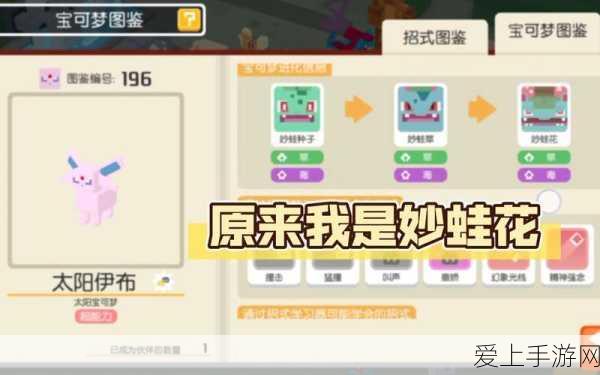秘境探秘，原神忘却之峡深度挑战攻略与奇遇