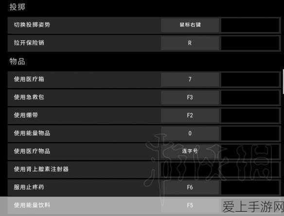 绝地求生高手秘籍,大逃杀实战技巧与战术深度剖析