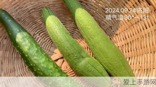丝瓜秋葵草莓香蕉榴莲绿大全:“丰富多彩的夏季水果大赏:丝瓜、秋葵、草莓、香蕉与榴莲”