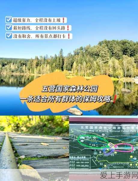 伊春园直达入口官网:畅游伊春园,直接进入官方入口体验精彩!