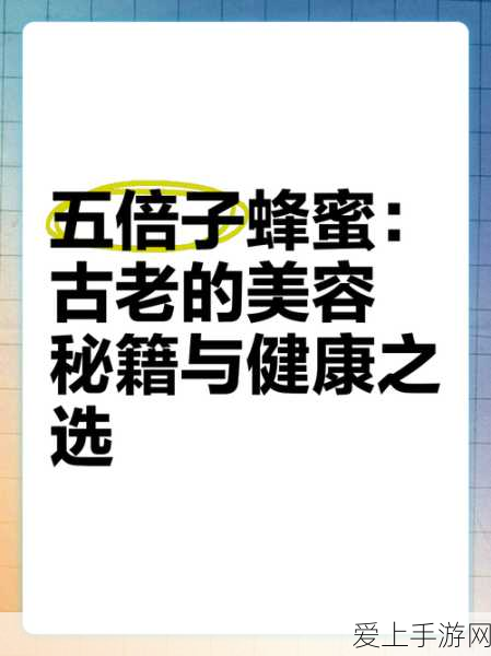 honey come：蜂蜜的魅力：探索甜美与健康的完美结合
