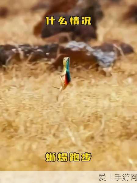 印度蜥蜴被侵害事件:“印度蜥蜴栖息地遭破坏,生态平衡面临严峻挑战”