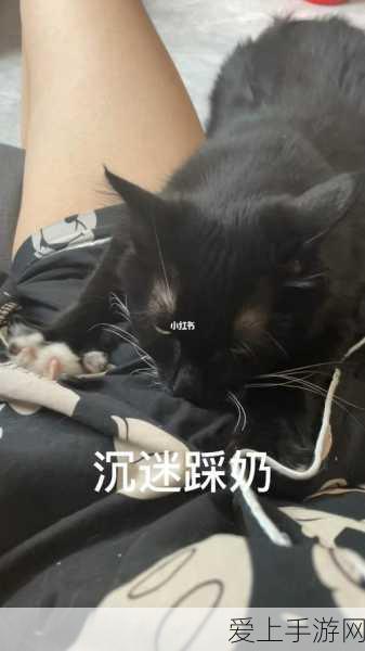 男生女生嗟嗟嗟很痛无马坤坤寒进桃子里:男生女生之间的纠结与成长:坤坤寒桃子的故事